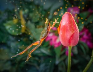Making the Leap From Correlation to Causation | Training Industry