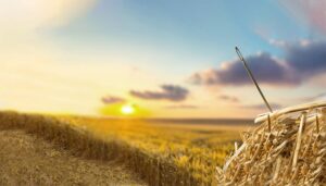 Learning Technology Selection: Where to Find Your Tiny Needle in the Industry’s Very Large Haystack