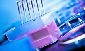 Medical Employee Benchmark Bulletin