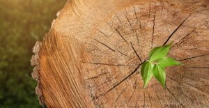 Episode #39 | Change Management Needs to Change: Challenging the Model of…