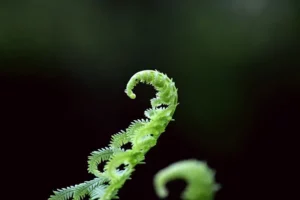 Developing a Multi-Year Learning Strategy for E3G