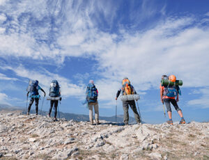 How Managed Learning Can Help You Transform into a High-Impact Learning Organization