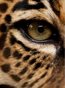 Leadership Program Enhances Communication and Strategic Thinking Skills