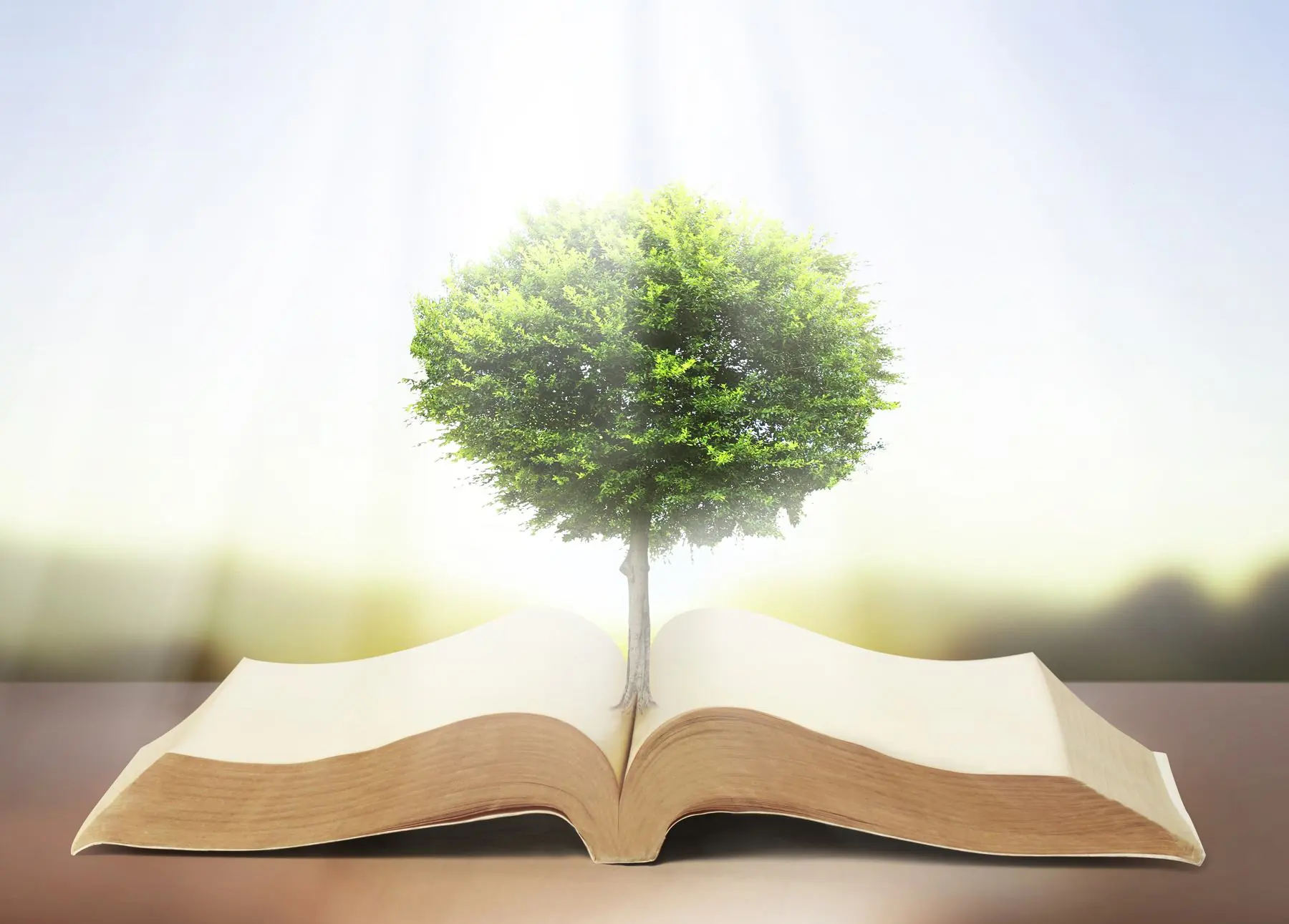 My GP Strategies Summer Internship: More Than Fetching Coffee